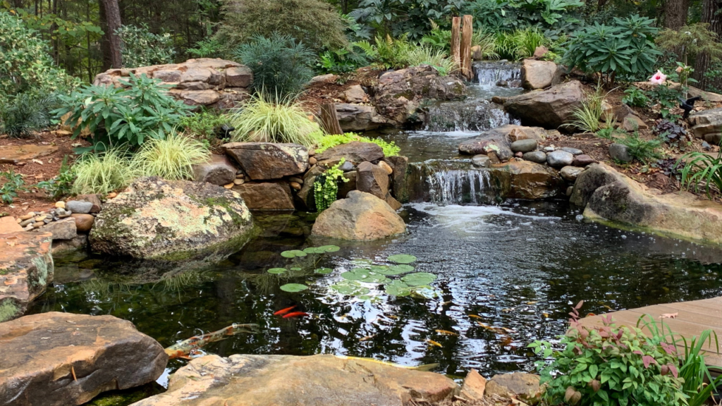 Waterfall with Pond