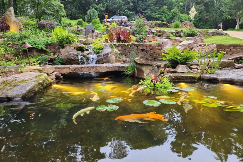 What is a Koi Pond and How it Differs From Other Ponds?