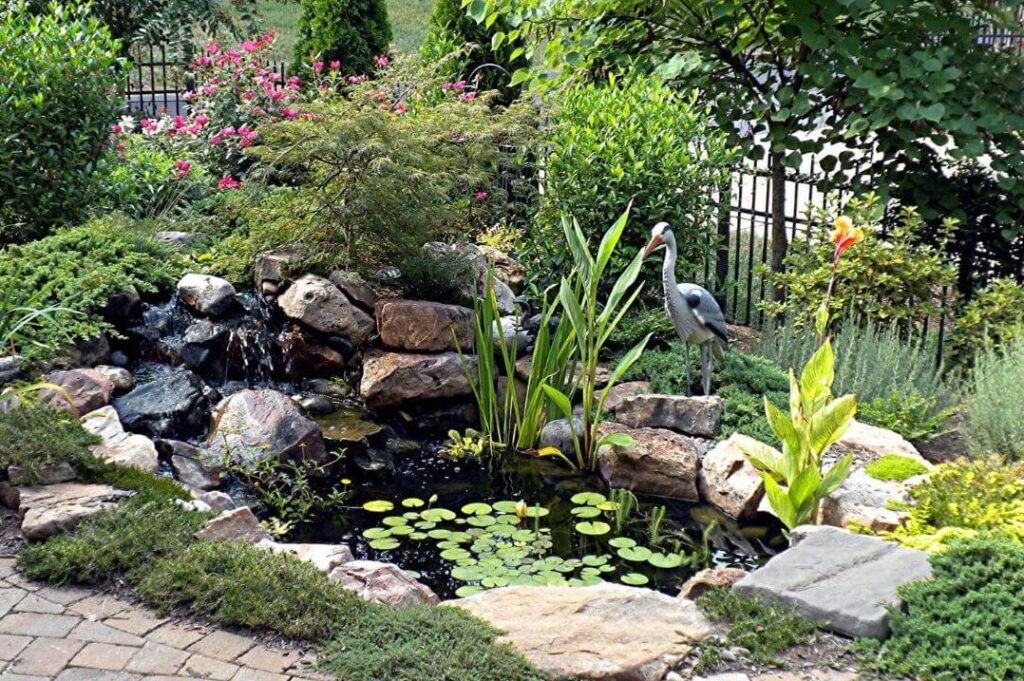 small pond
