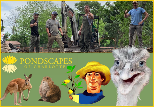 Pondscapes of Charlotte Urban Rescue Ranch Pond Build in Texas