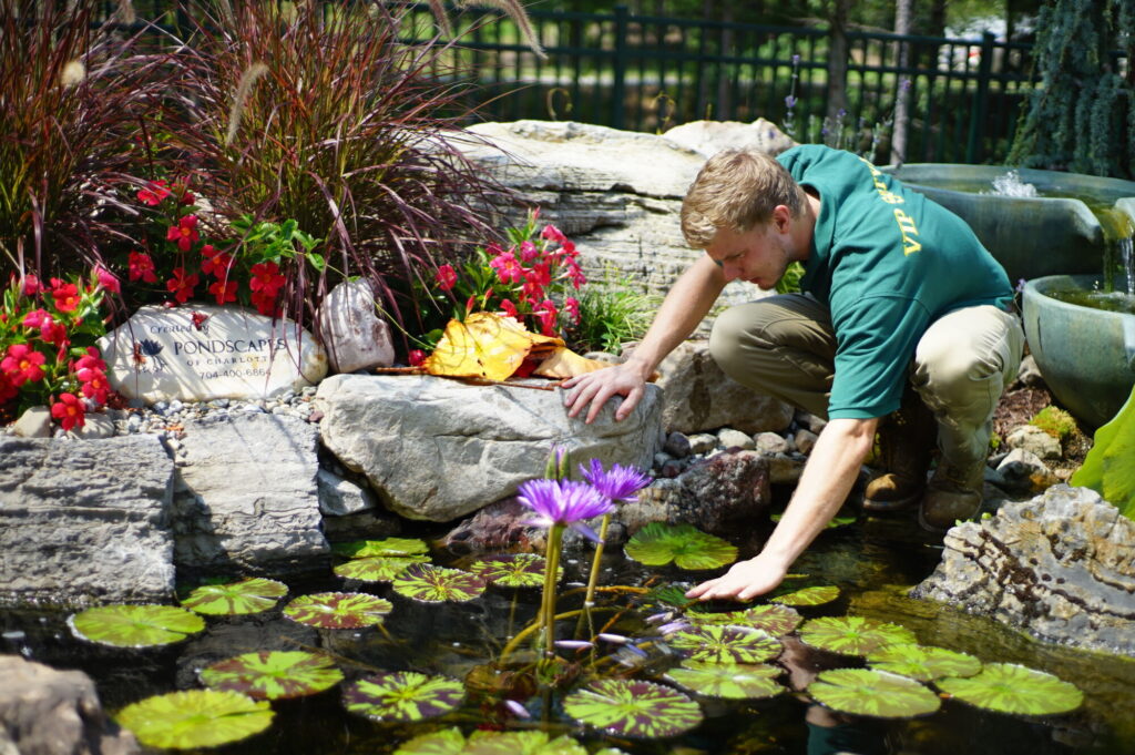 Bradley Blocksom Servicing Pond at Pike's Nursery