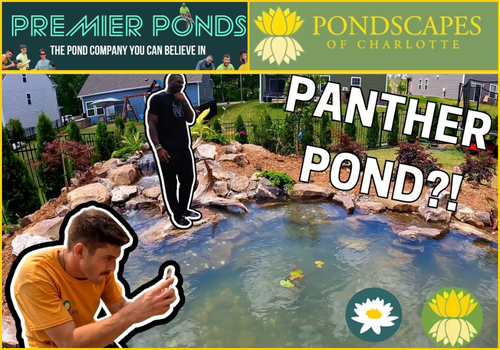 Pondscapes of Charlotte Premier Ponds Collaboration