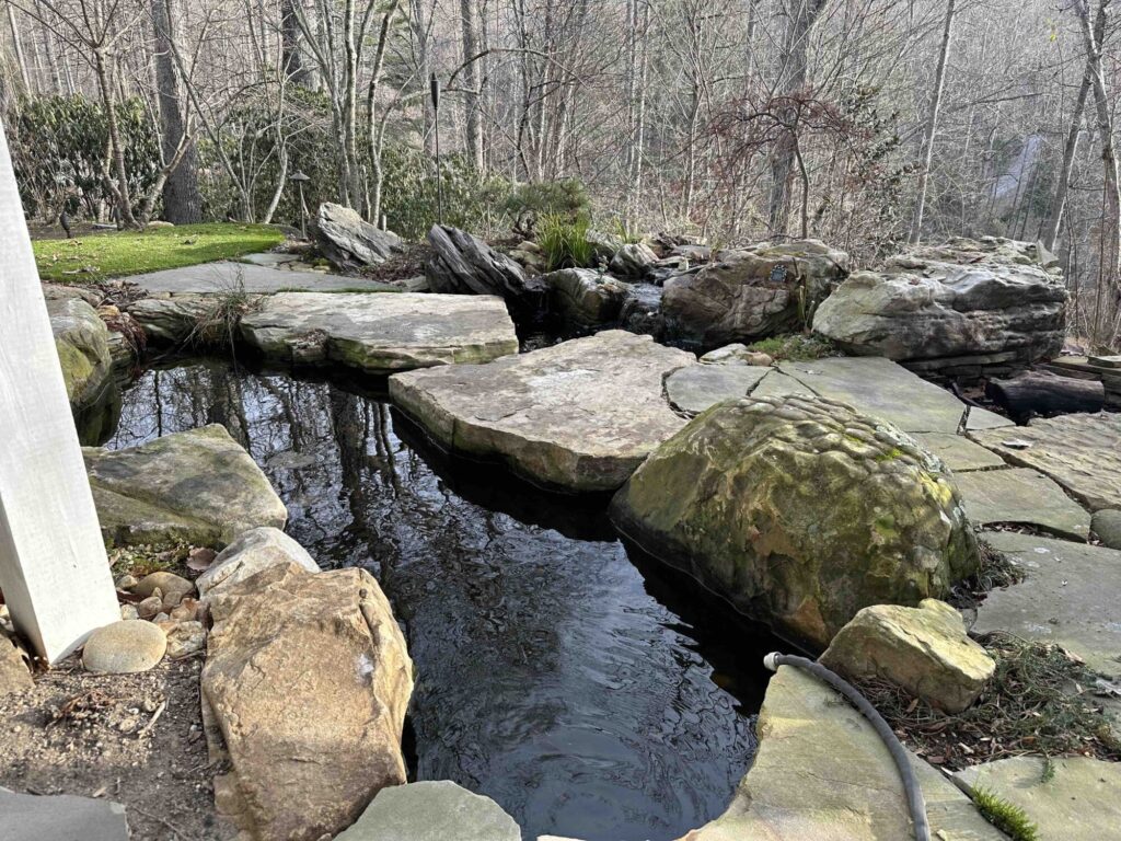 Joe's current pond