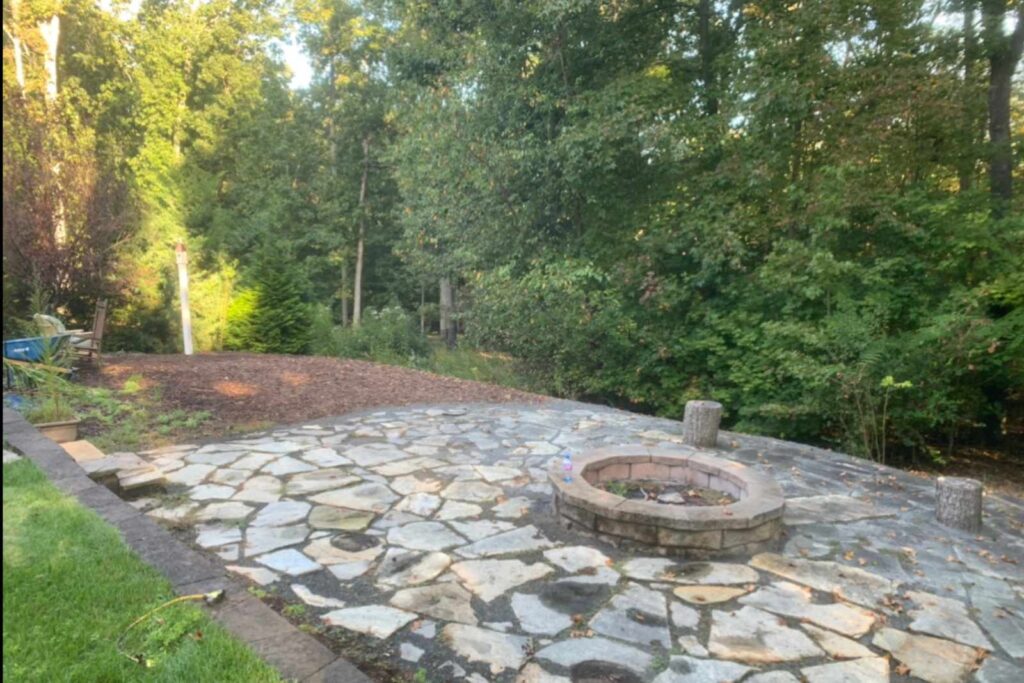 Before photo of backyard