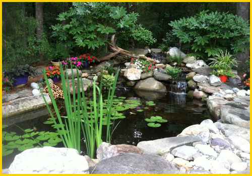 Pond materials for backyard pond in charlotte, nc