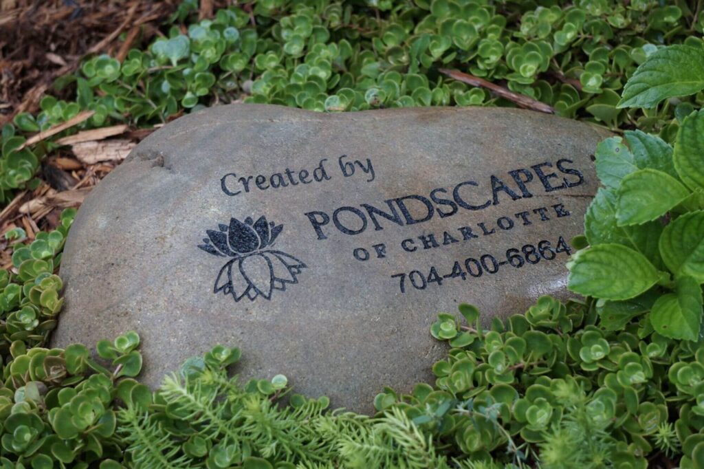 Custom engraved stone at a backyard koi pond in Charlotte NC, designed by Pondscapes of Charlotte