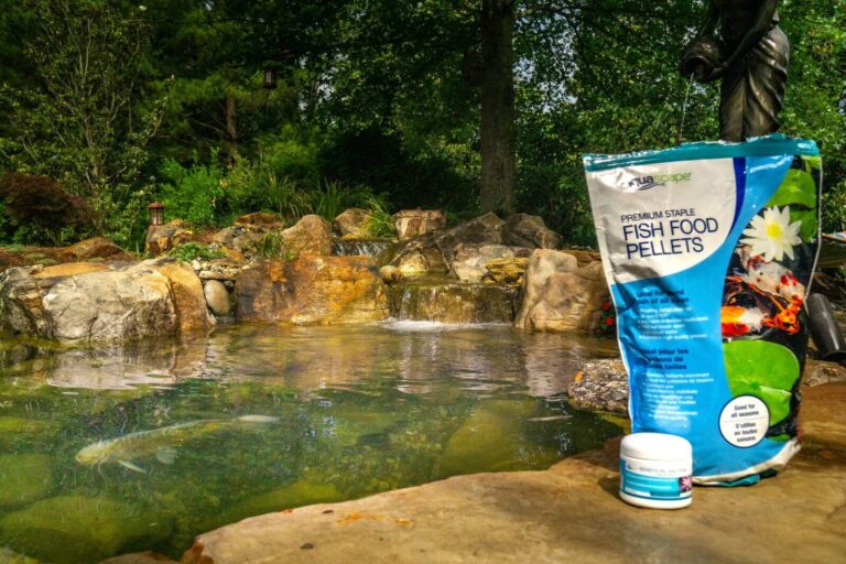 Aquscape Fish Food and Bacteria Next To Pondscapes of Charlotte Pond