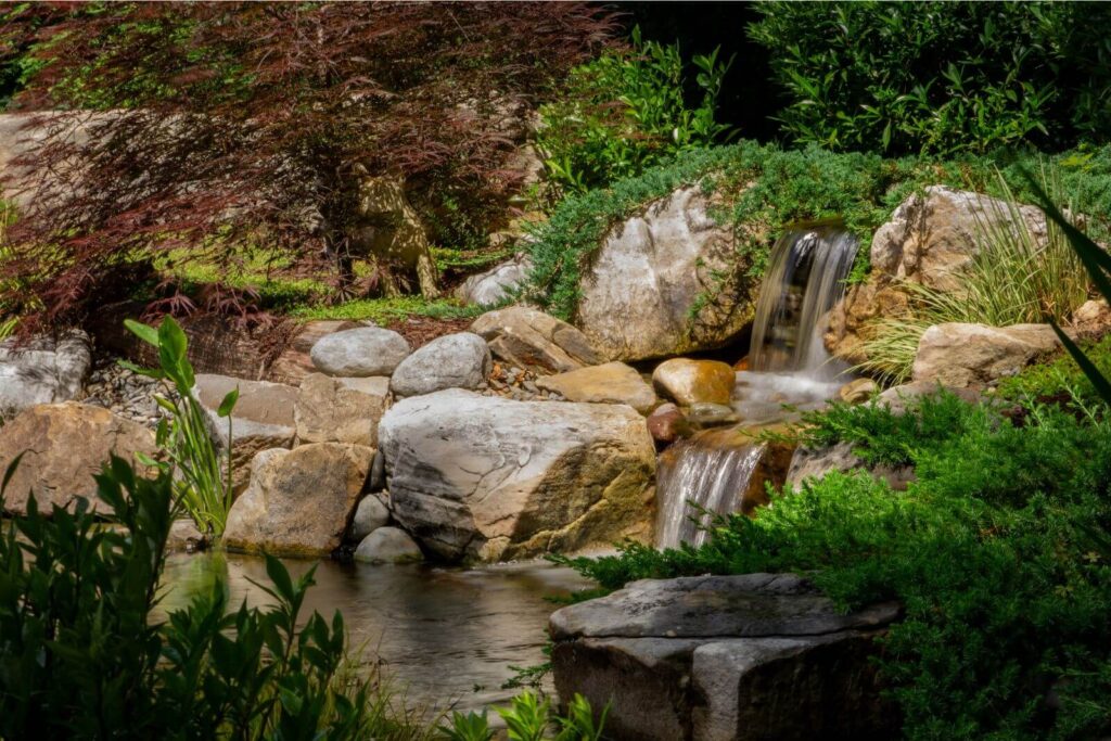 Backyard koi pond with waterfall, underwater lighting, and natural stone landscaping by Pondscapes of Charlotte — expert pond installation and maintenance in Charlotte NC.