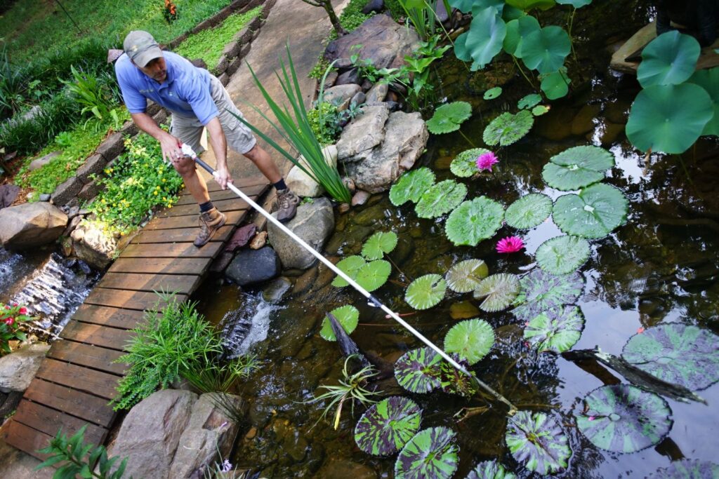 Top rated Pond Service Company in Charlotte, NC | Pondscapes of Charlotte