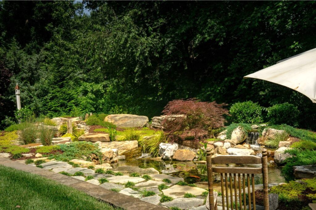 Scenic luxury backyard pond with long stream and dual biofalls in Charlotte by expert pond contractors