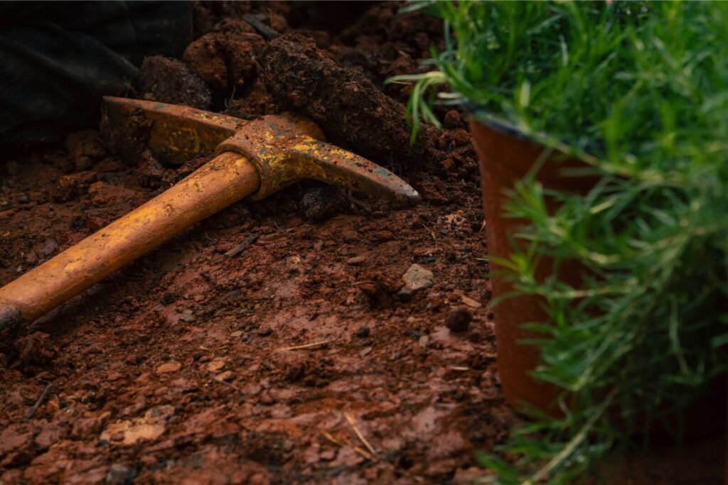 Pick axe and plant staged next to backyard pond under construction by expert pond contractors in Charlotte North Carolina