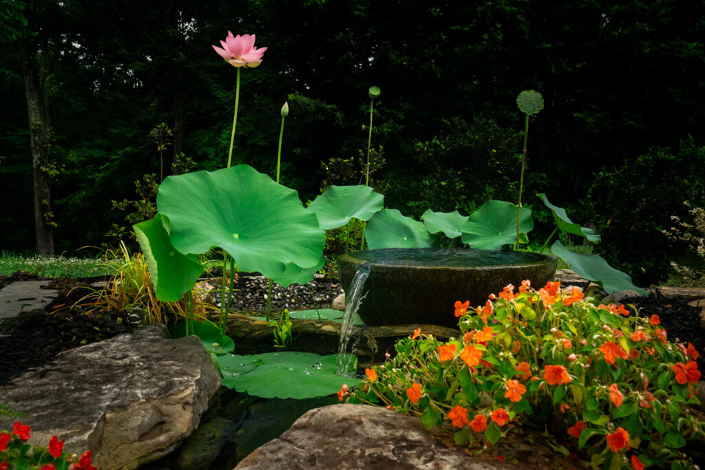 Natural stone fountain bowl cascading water into stream bed creating peaceful water feature in Charlotte backyard landscape