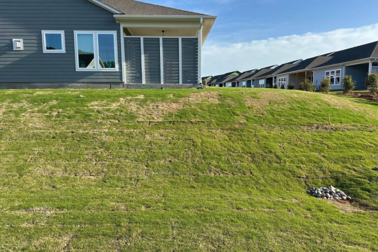 Grassy backyard hill before pond and waterfall construction in Encore at Streamside, Waxhaw, NC.