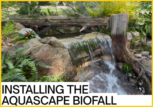 Completed BioFalls waterfall installation with natural stone cascading into koi pond, showing biological filtration system disguised as natural rock formation in Charlotte backyard landscape