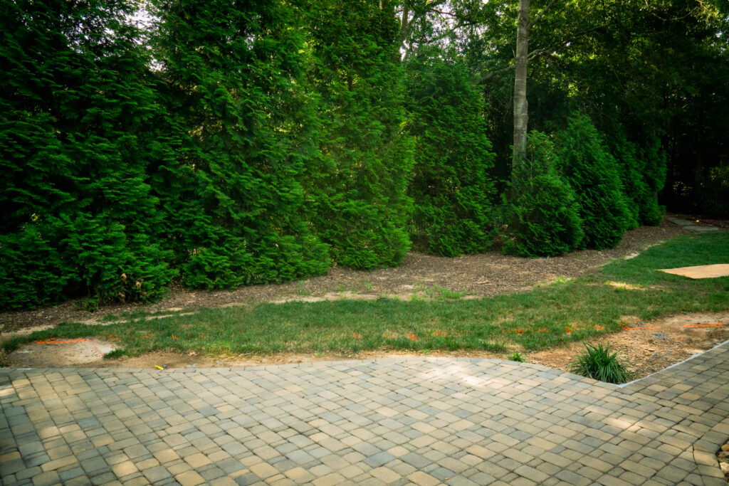 Backyard corner before transformation — a bare, unused space in need of new life.