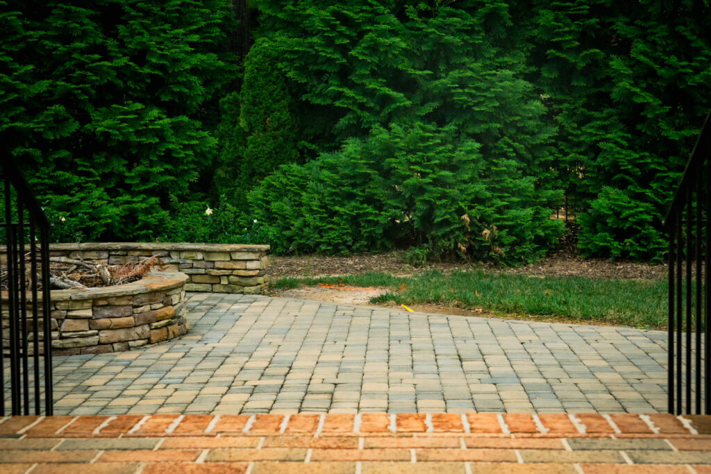 Backyard before transformation