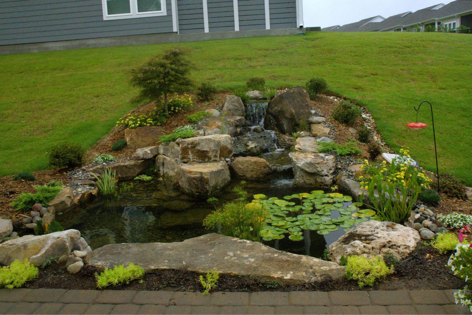 Front view of a professionally designed backyard pond with waterfall in Waxhaw, NC by Pondscapes of Charlotte