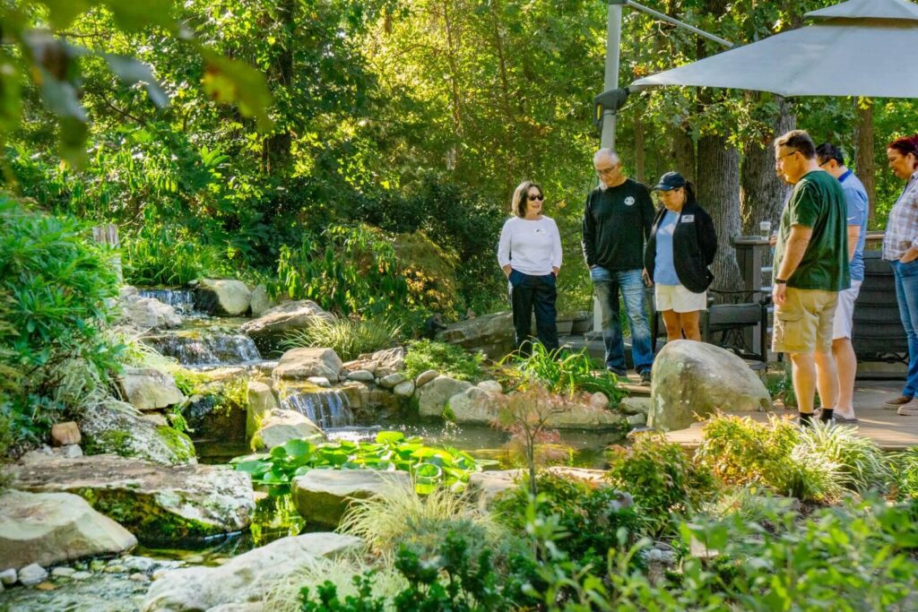 Charlotte Koi Club enthusiasts meeting at a custom-built natural ecosystem pond in Charlotte NC, featuring healthy koi fish and professional pond design perfect for koi keeping and club gatherings