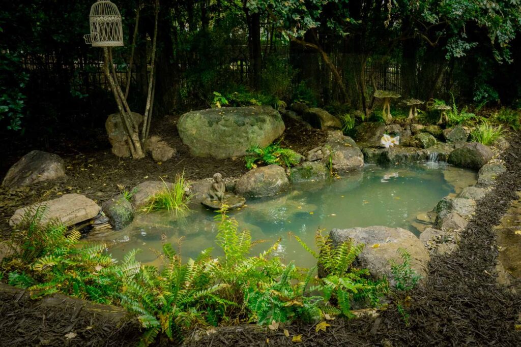 Professionally Constructed Backyard Pond in South Park built