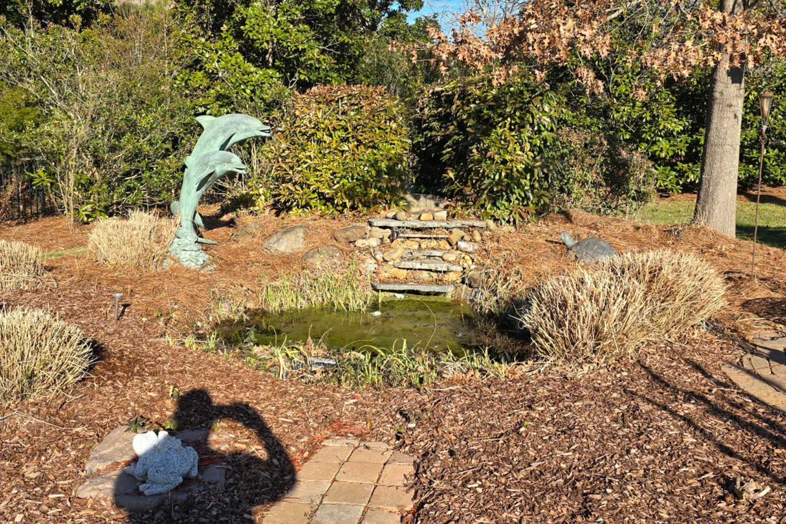 Before photo of forgotten pond in Marvin, NC