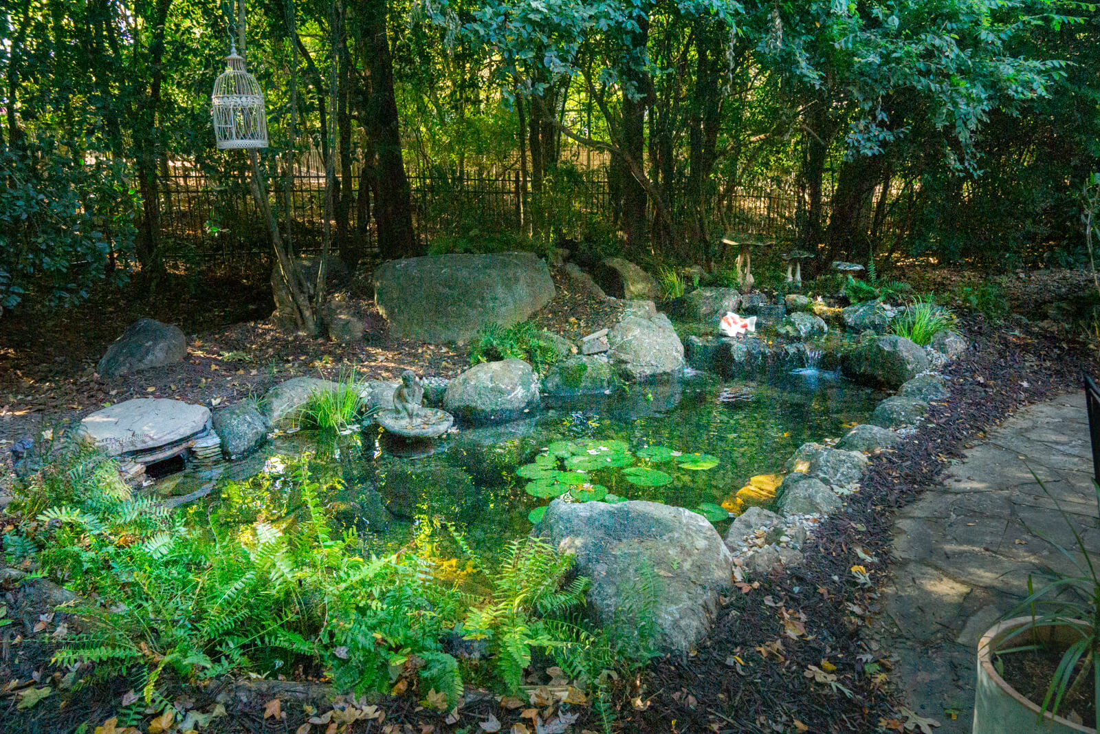Elevated view of backyard koi pond with waterfall and natural stone landscaping in South Park Charlotte NC