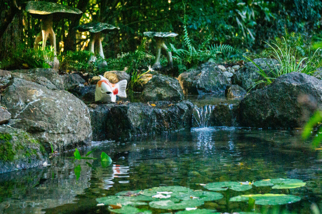 Natural stone waterfall flowing into backyard koi pond with decorative statue in Charlotte NC
