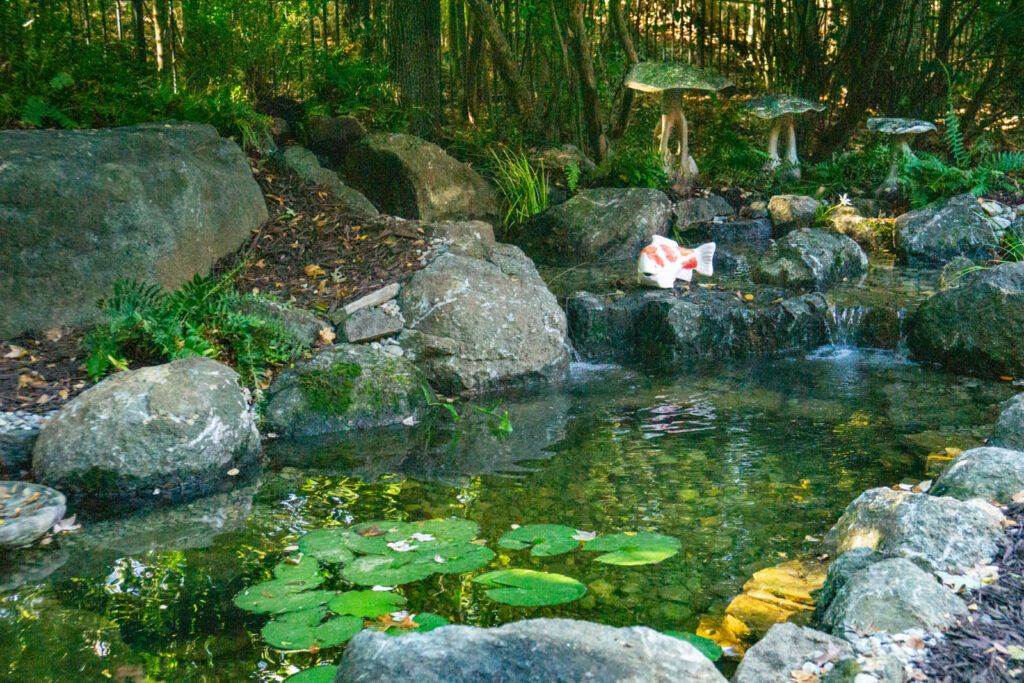 Backyard koi pond with natural stone waterfall and landscaping in Charlotte NC
