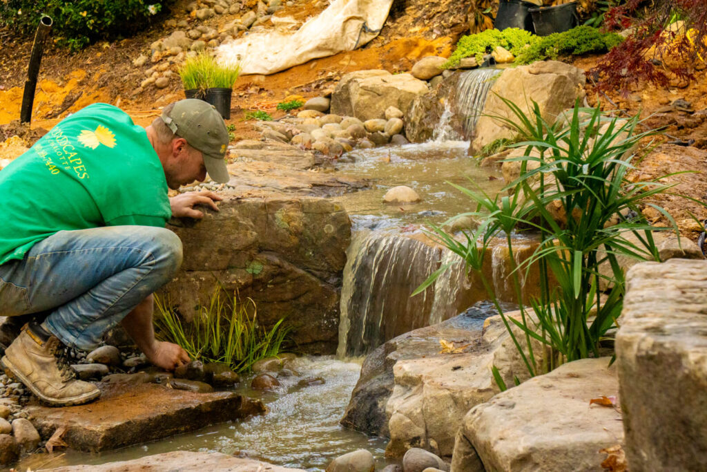 Aquatic pond plants installation for backyard waterfall in Fort Mill SC