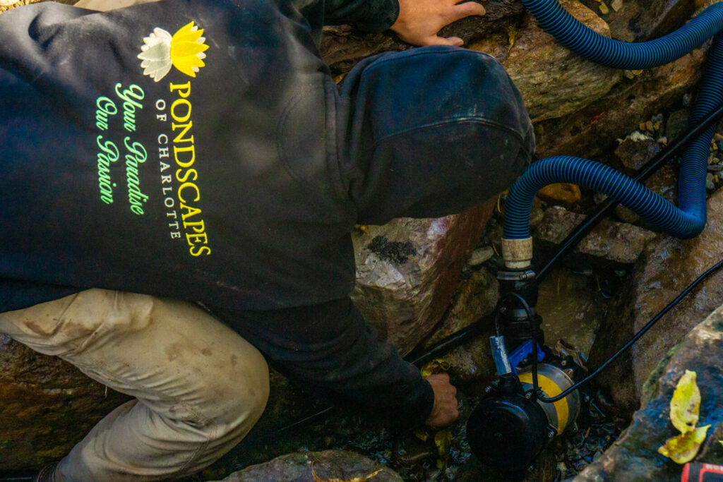 Expert pond technician placing pump during water feature cleanout in South Park, NC