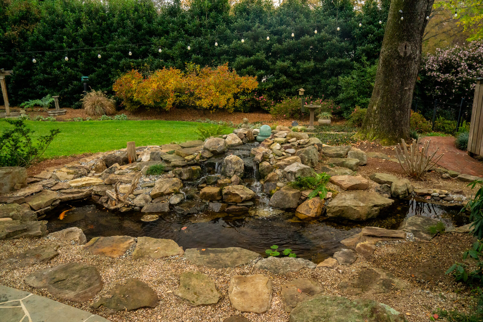Custom ecosystem pond with stone patio and waterfall feature in South Park Charlotte, NC