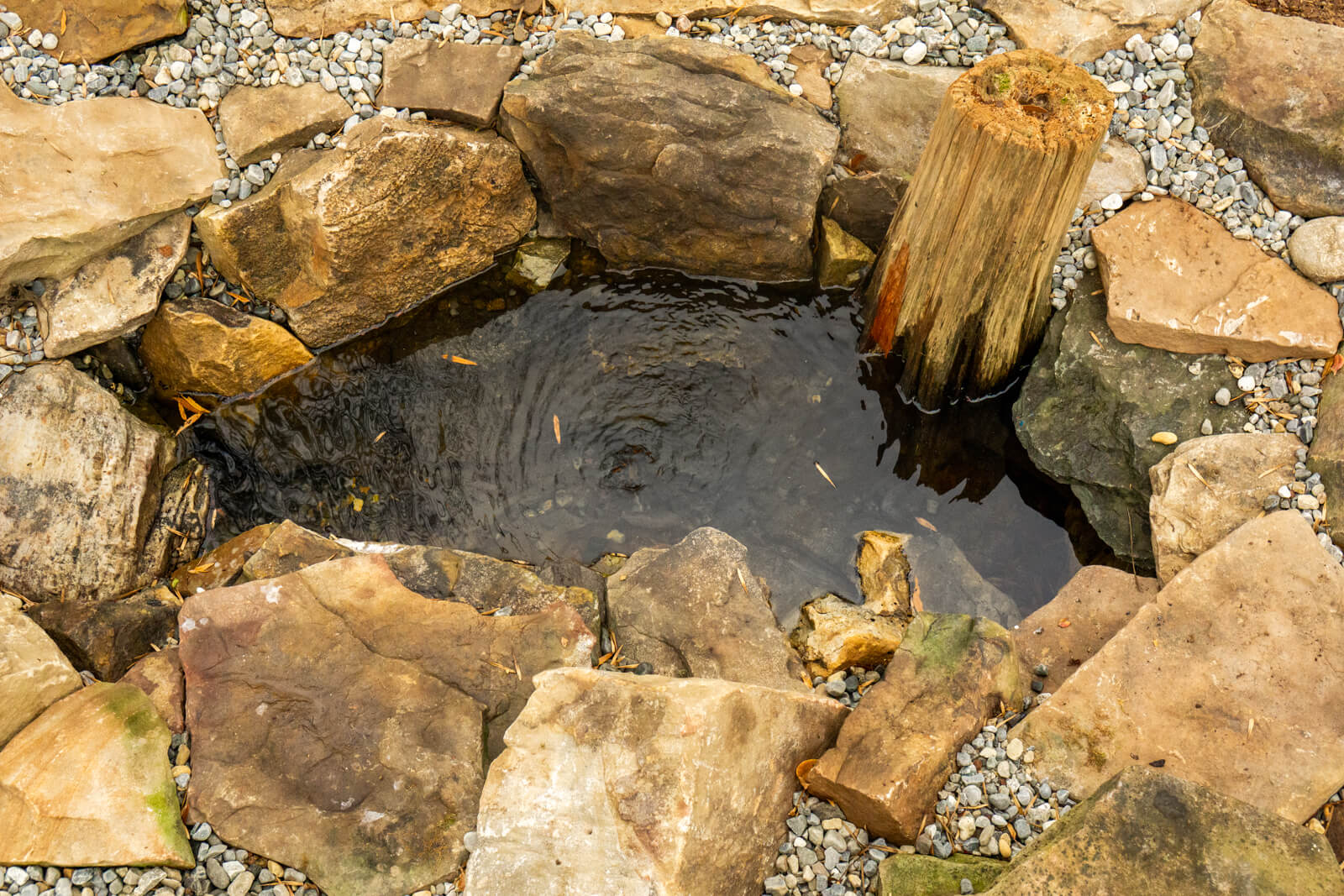 Koi pond feeding hole in Charlotte, NC