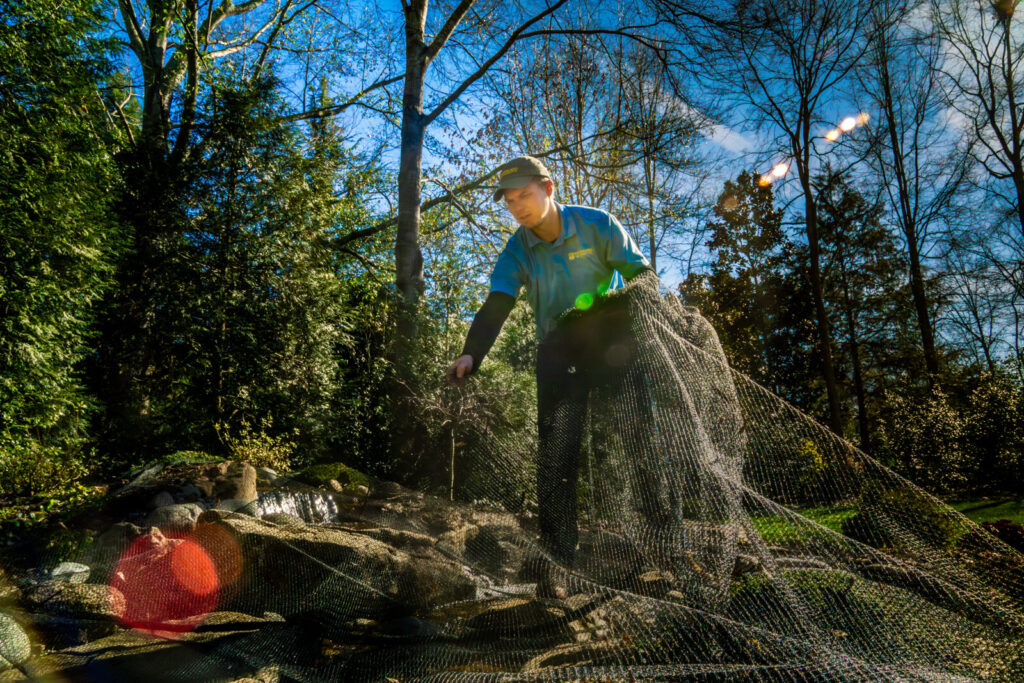 Technician removing fall netting from pondless waterfall in Marvin NC