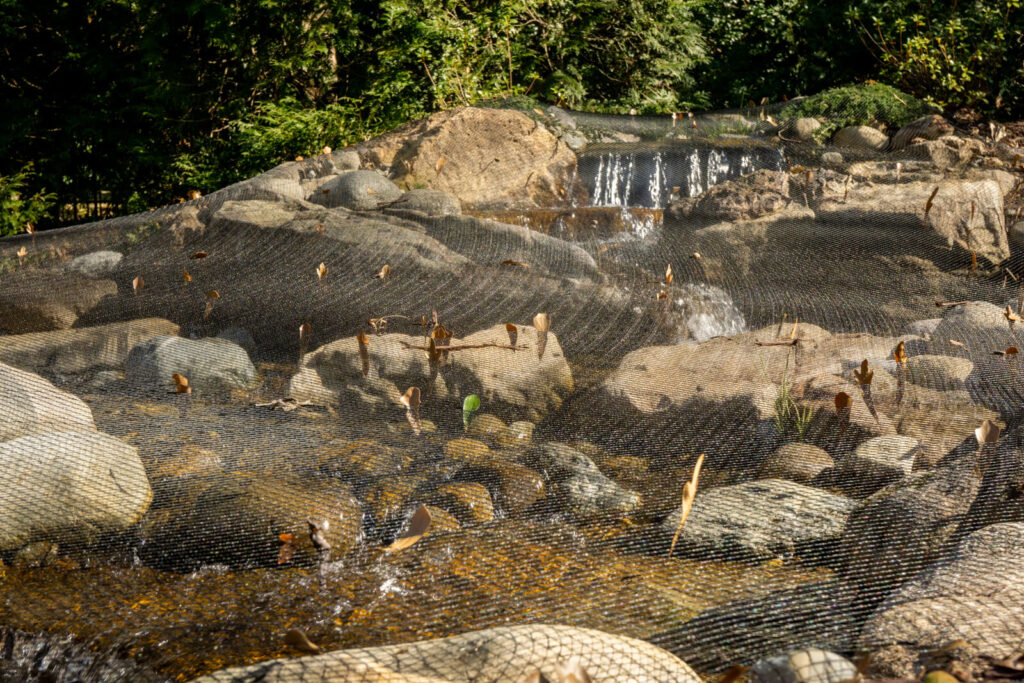 Waterfall with fall netting protection during pond maintenance in Charlotte NC