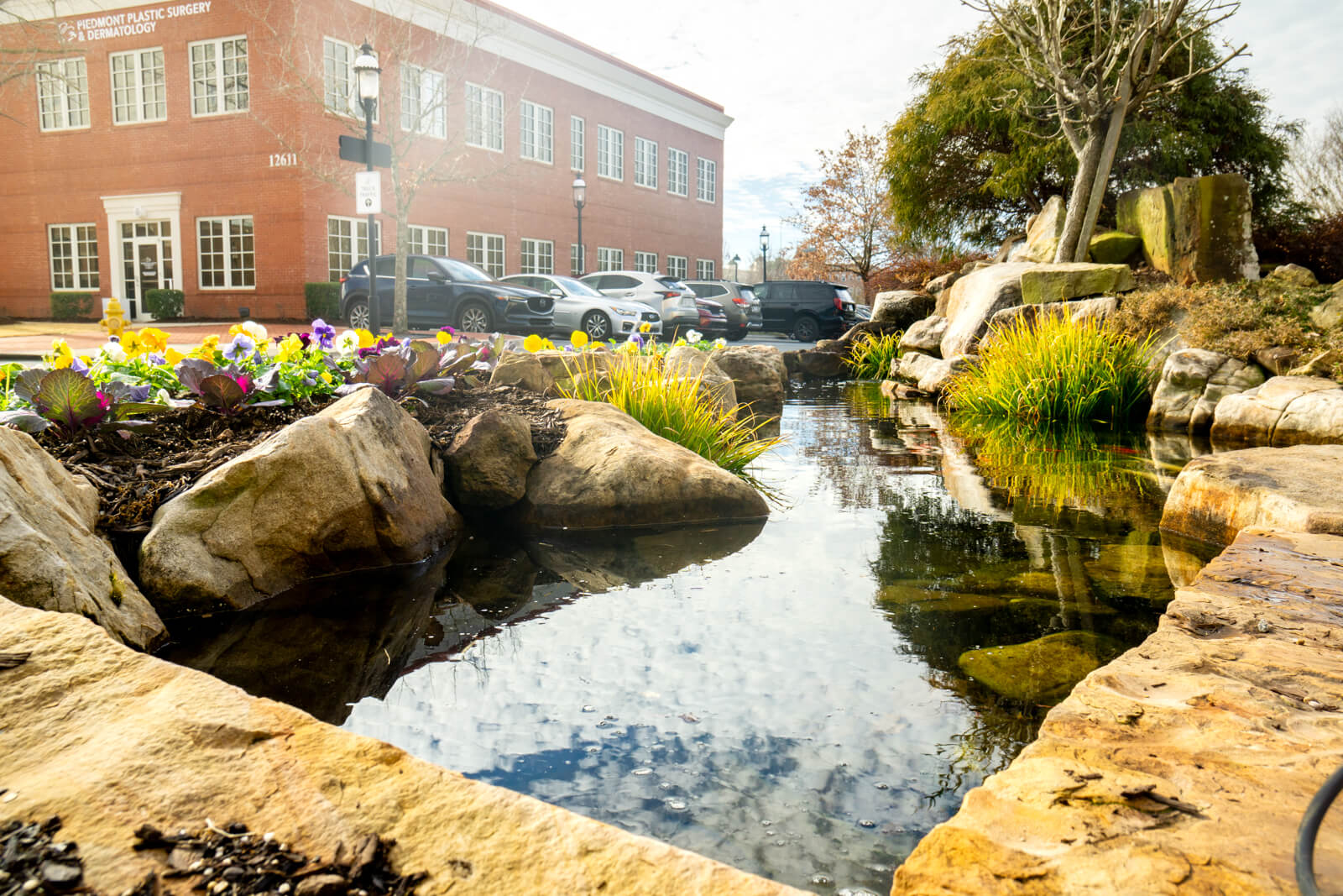 Pond at Pikes Nursery in Ballantyne