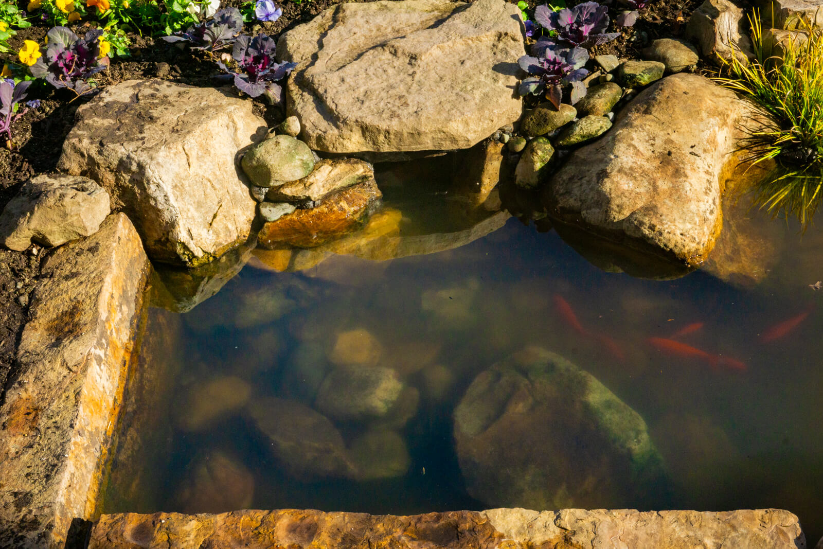 Hidden Aquascape Skimmer 1,000