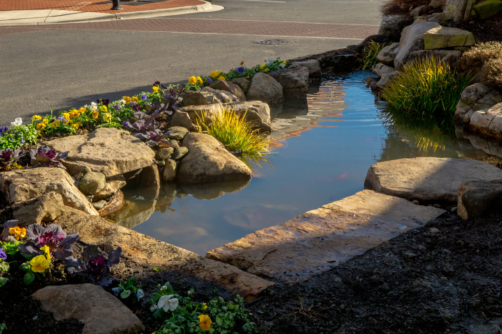 Skimmer set on side of pond helping keep the pond clean