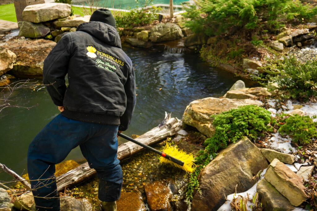 Pond technician cleaning a backyard pond and waterfall to maintain clear water during winter service in Charlotte, NC