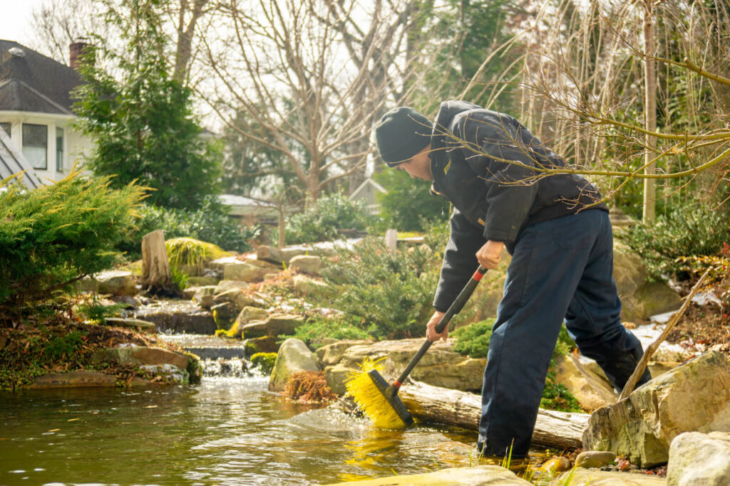 Technician brushing algae off the pond rocks to remove debris and maintain water quality