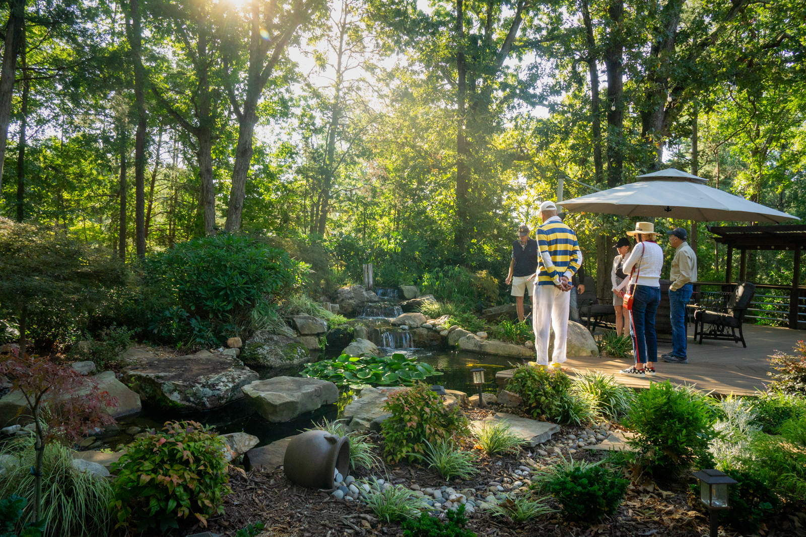 Sunflower Field in Wesly Chapel NC-10