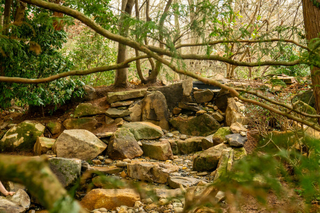 Natural stone waterfall and stream bed under construction during backyard pond rebuild Matthews, NC