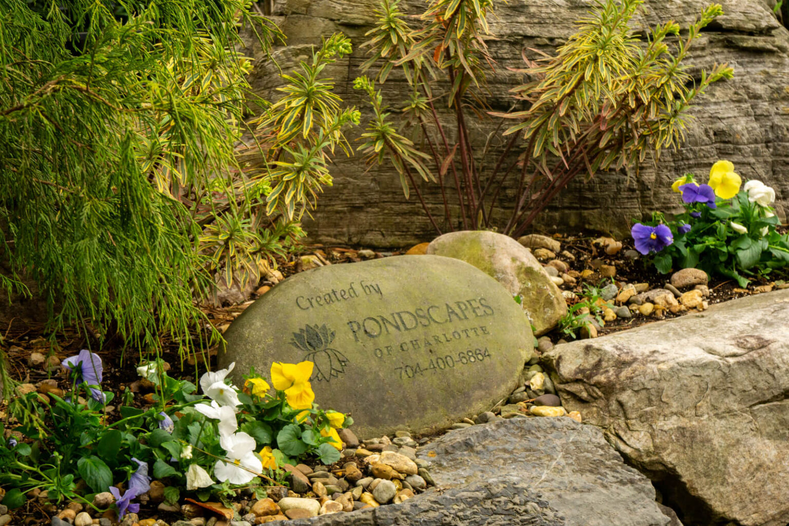 Pondscapes of Charlotte signature rock next to commercial pond at Pike Nurseries Matthews, NC