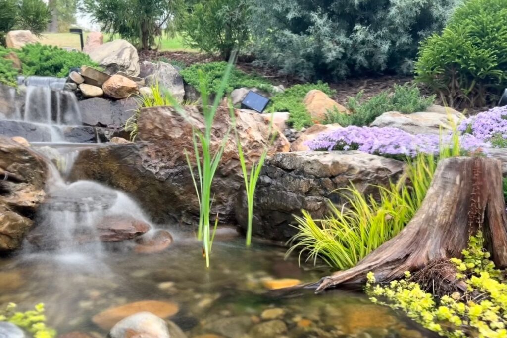Backyard water feature in the Palisades Neighborhood