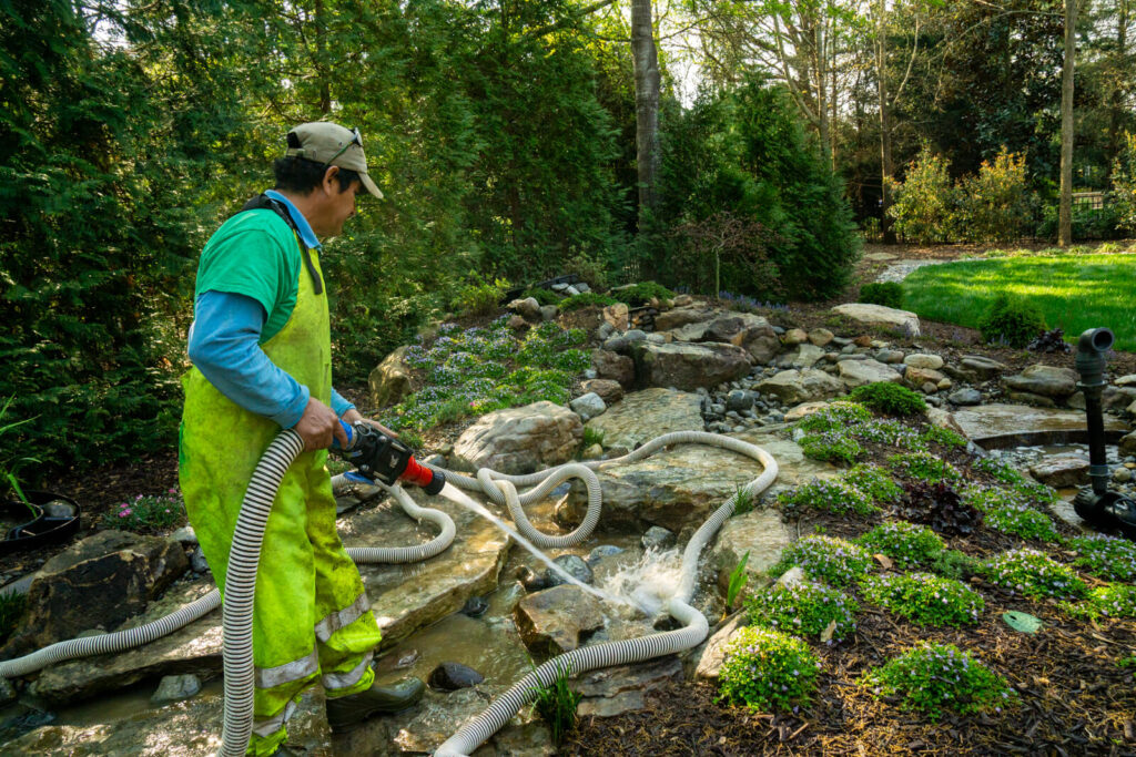 Quarterly VIP Spring Visit cleaning stones