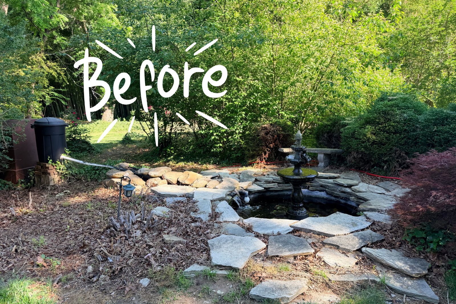 Before photo of pondscapes of charlotte project