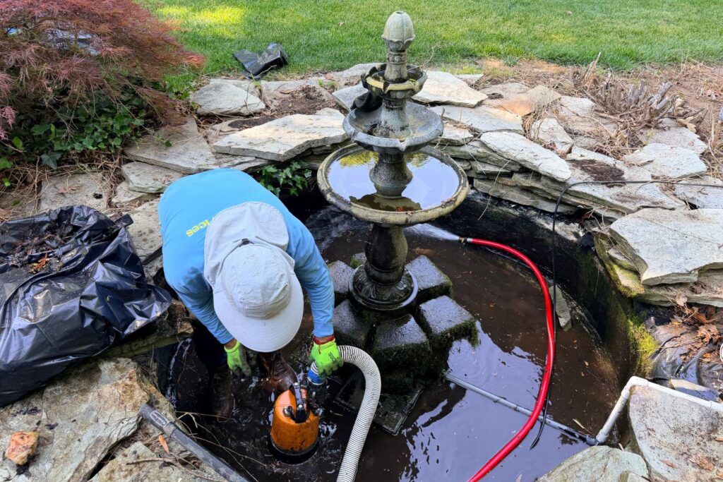 draining a historic pond in Mooresville