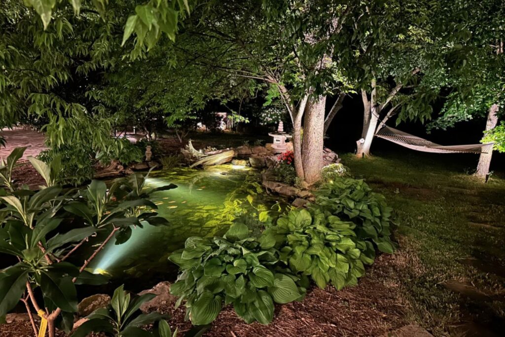 Pond with lighitng