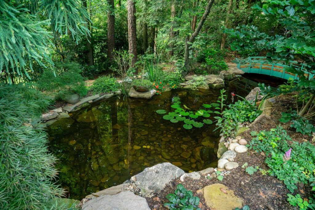 Real Life Claude Monet Water Lily Pond