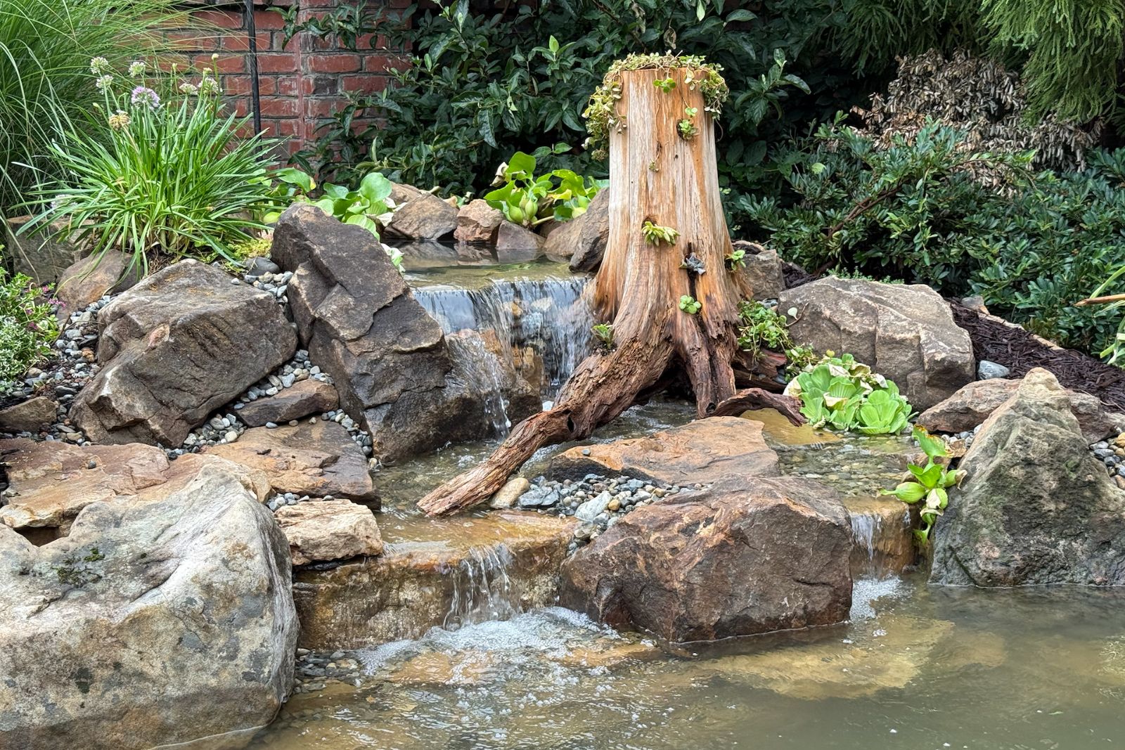 waterfall next to a stump with plants growing out of it