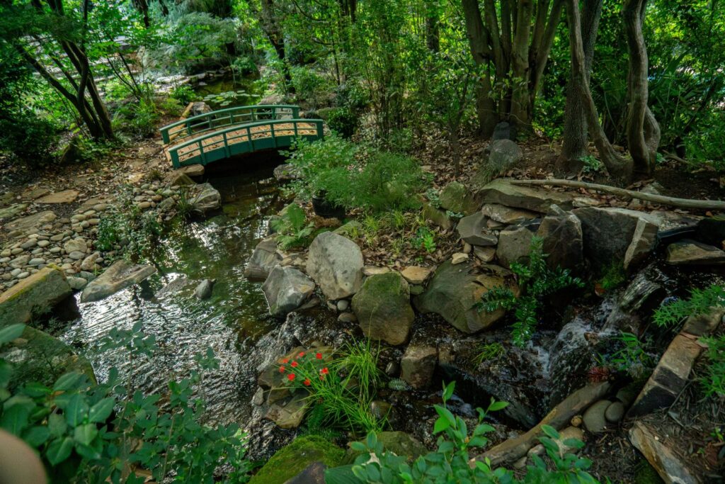 Pond with a bridge inspired by Claude Monet
