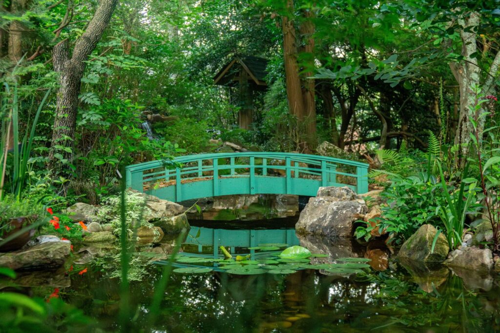 The Water Lily Pond Inspired by Claude Monet